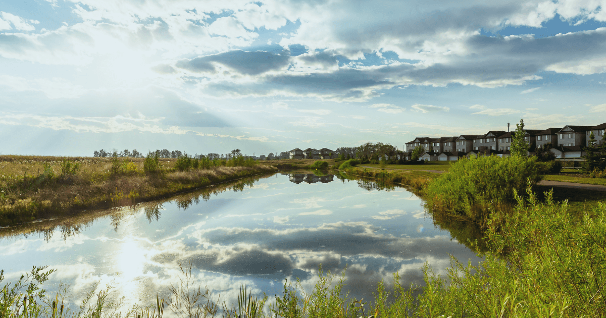 Why Simplicity Is The Future Of Home Buying in Alberta